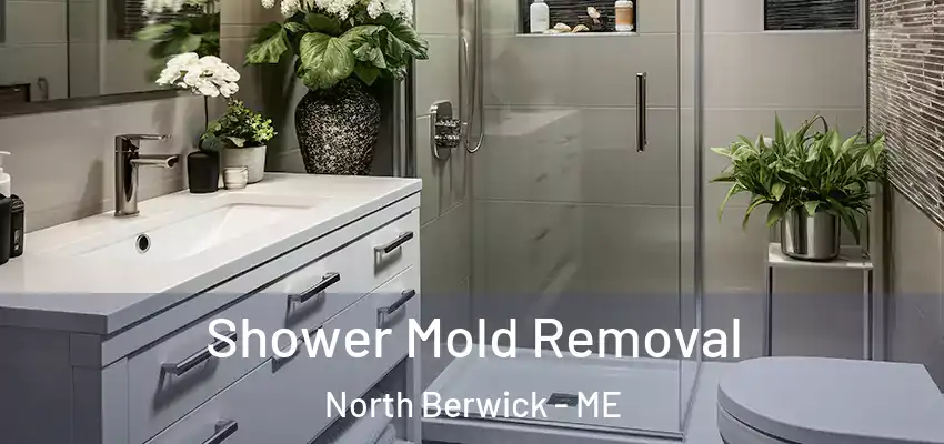  Shower Mold Removal North Berwick - ME