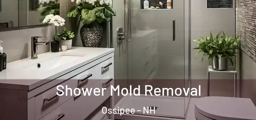  Shower Mold Removal Ossipee - NH