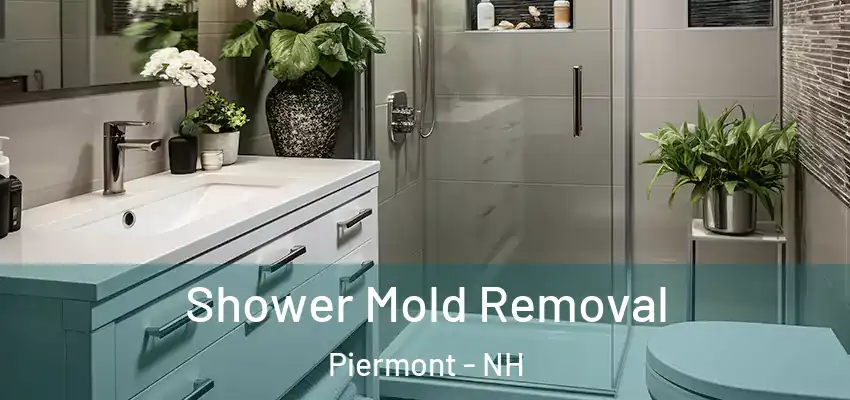  Shower Mold Removal Piermont - NH