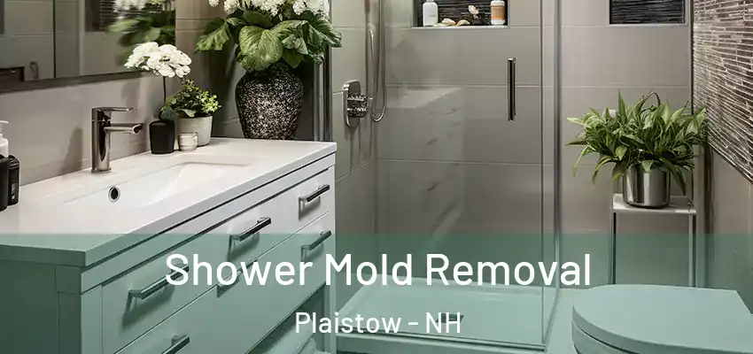  Shower Mold Removal Plaistow - NH
