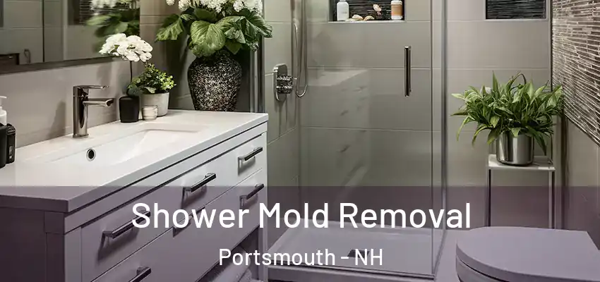 Shower Mold Removal Portsmouth - NH