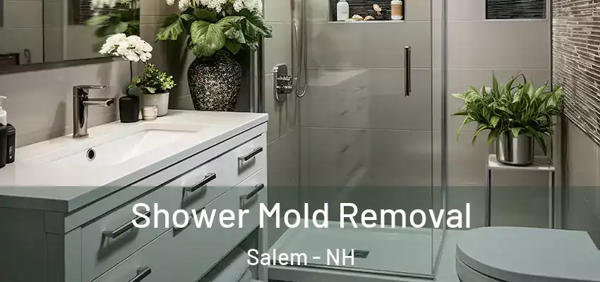  Shower Mold Removal Salem - NH