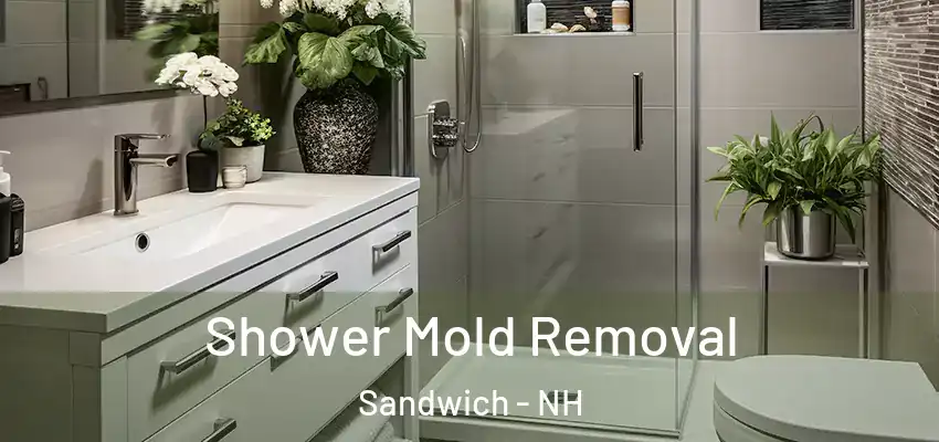  Shower Mold Removal Sandwich - NH