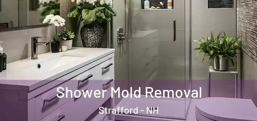 Shower Mold Removal Strafford - NH