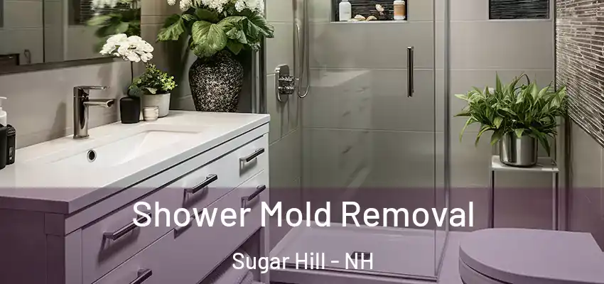  Shower Mold Removal Sugar Hill - NH