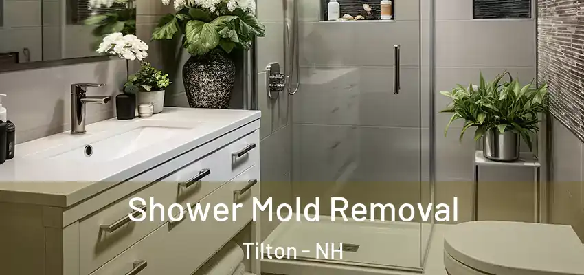  Shower Mold Removal Tilton - NH
