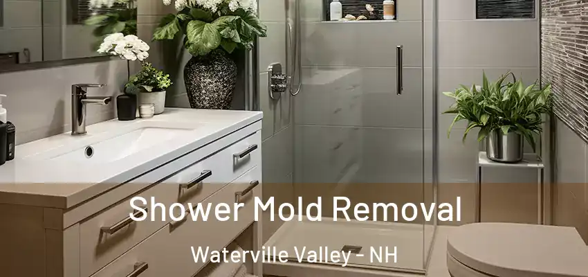  Shower Mold Removal Waterville Valley - NH