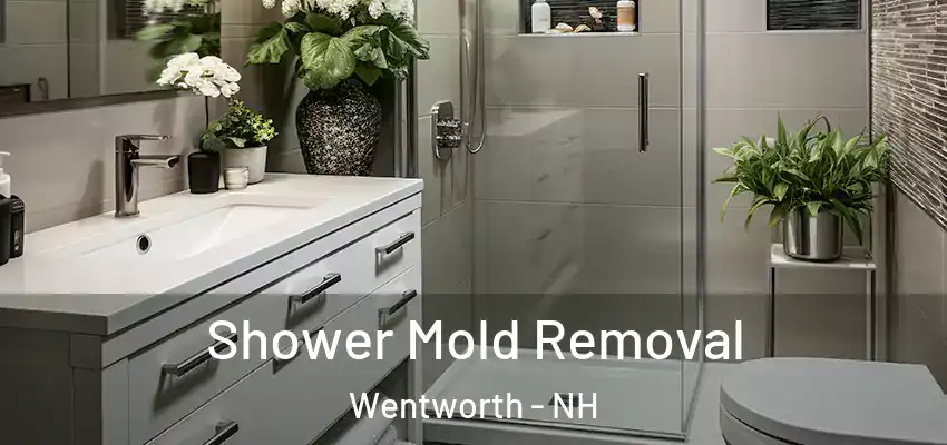  Shower Mold Removal Wentworth - NH