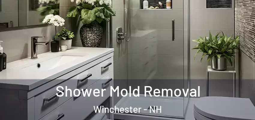  Shower Mold Removal Winchester - NH