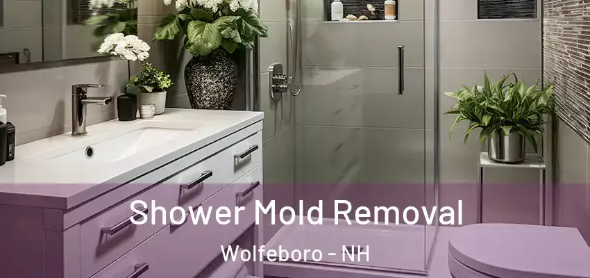 Shower Mold Removal Wolfeboro - NH